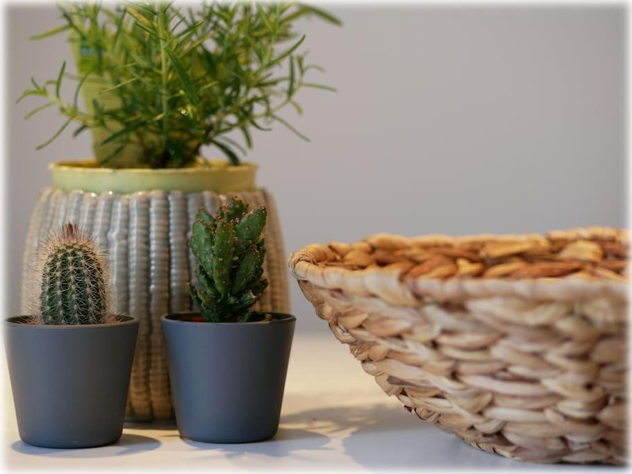 קיל Gemuetlich - 2 Zimmer-Altbau, 24H Check-In מראה חיצוני תמונה